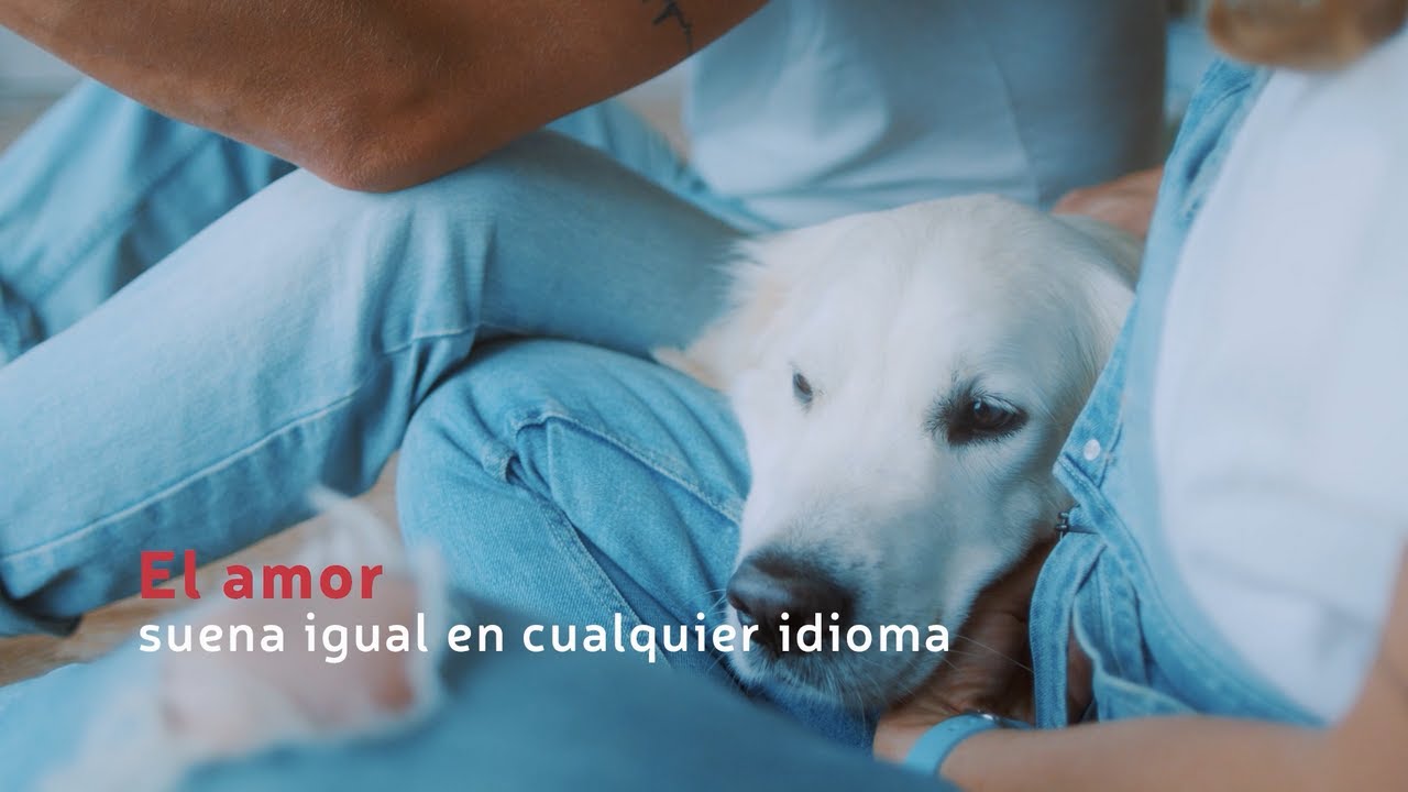 Perro blanco descansando entre dos personas vestidas con tonos claros.